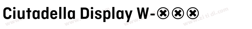 Ciutadella Display W字体转换